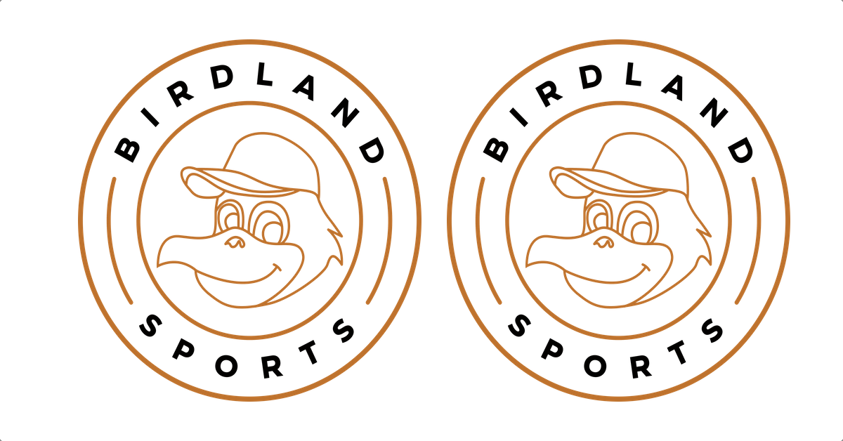 Baltimore Orioles Shirts – birdlandsports